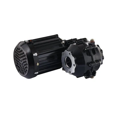 ZD014C pagyvenusių žmonių pramoginių transporto priemonių triračių varikliai